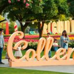 Significado del nombre Colleen