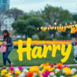 Significado del nombre Harry